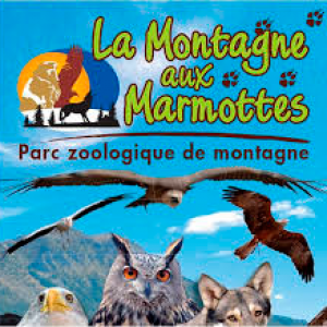 Montagne-marmottes